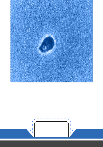 塗膜に埋まっていないケース